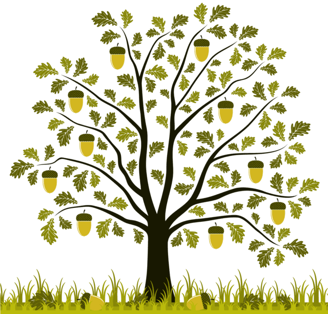 acorns.tw 橡樹子心靈成長工作室